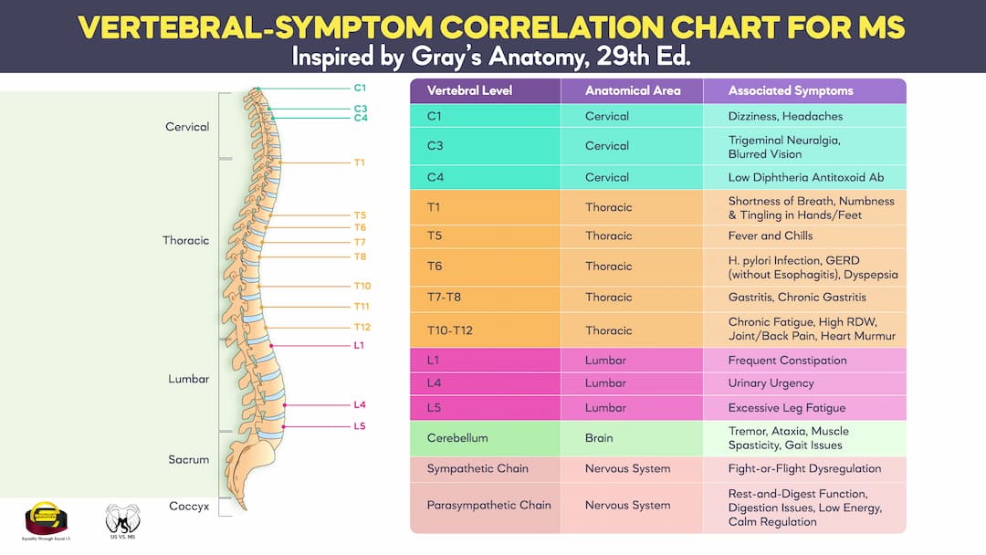 MS Vertebral Symptom Correlation Chart